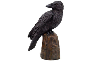 Pacific Trading Black Raven Perched On A Tree Stump Statue Halloween Home Decor