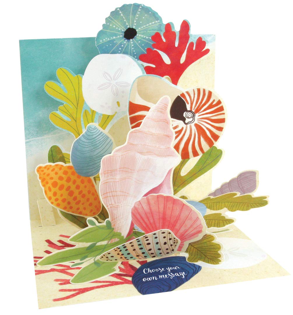 Up With Paper Pop-Up Treasures Greeting Card - Ocean Shells