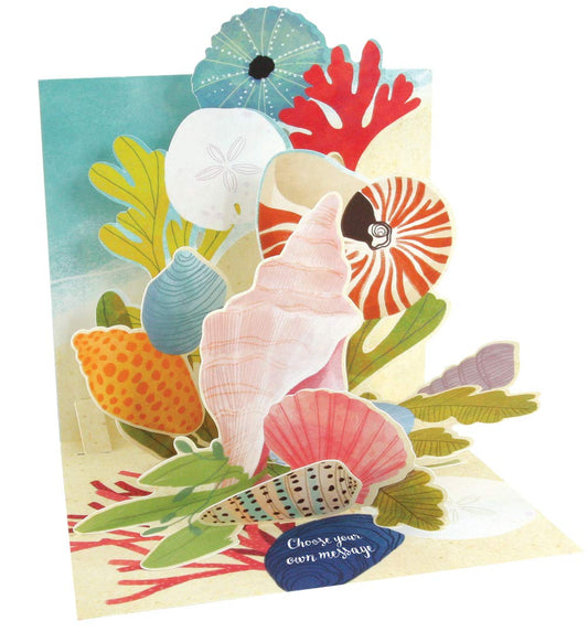 Up With Paper Pop-Up Treasures Greeting Card - Ocean Shells