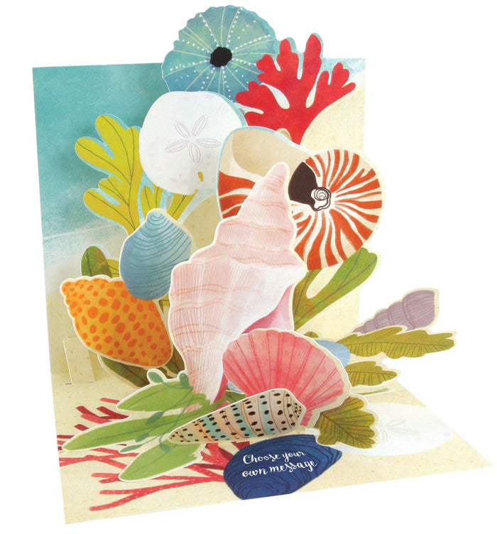Up With Paper Pop-Up Treasures Greeting Card - Ocean Shells