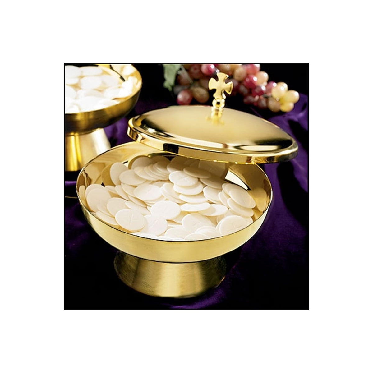 CB Vivarium, Brass/Gold Plate, Modern