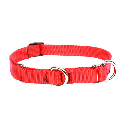 Lupine Pet Basics 3/4" Red 14-20" Martingale Collar for Medium and Larger Dogs