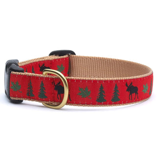 Up Country Animal Collar, Medium (12 to 18 inches), 1 inch Width, Multi