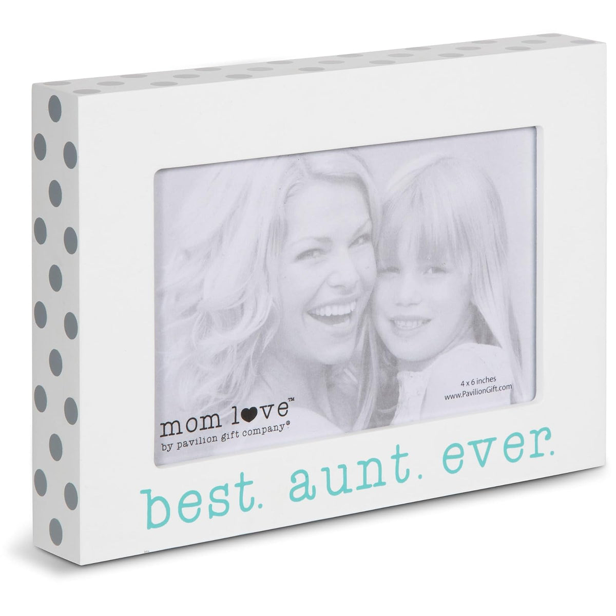 Pavilion Gift Company Picture Frame