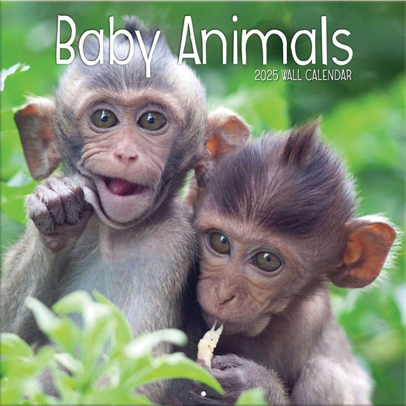 TURNER PHOTOGRAPHIC Baby Animals 12x12 Photo Wall Calendar (25998940006)