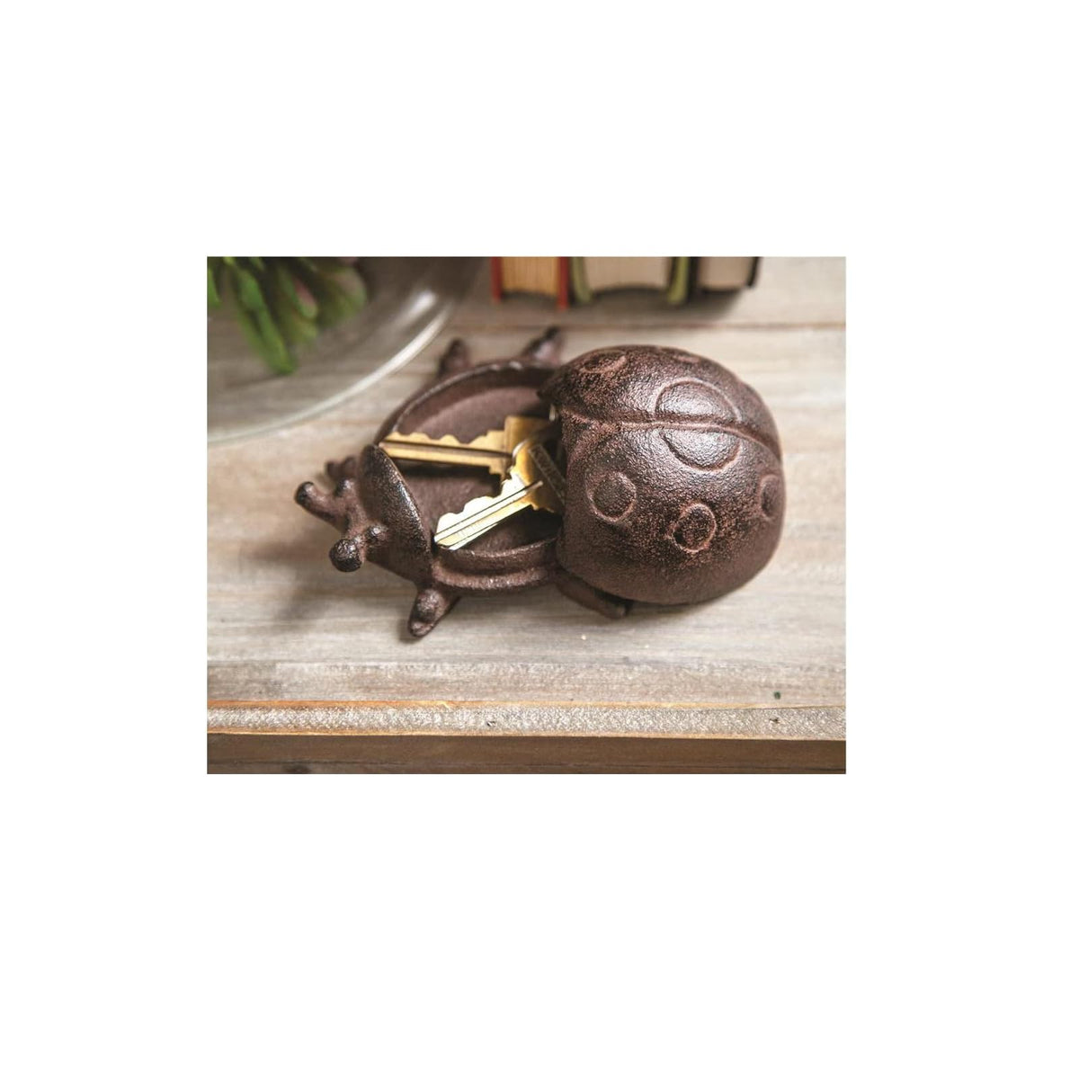 Manual Jewelry Storage, Brown, Lady Bug