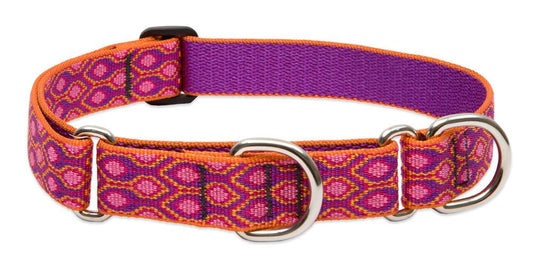 Lupine Pet Originals 1" Alpen Glow 19-27" Martingale Collar for Large Dogs