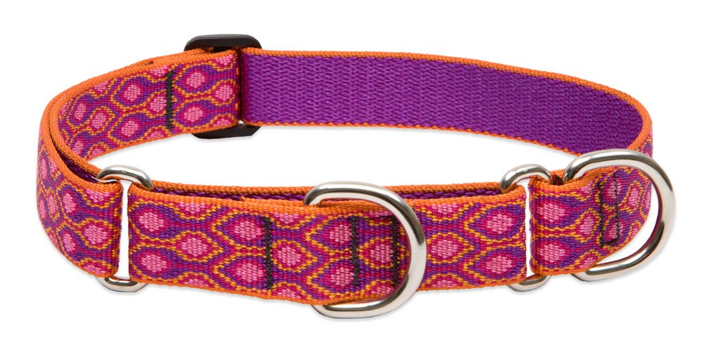LupinePet Animal Collar