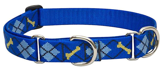 Lupine Pet Originals 1" Dapper Dog 19-27" Martingale Collar for Large Dogs