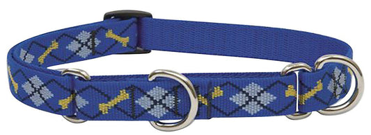 Lupine Pet Originals 3/4" Dapper Dog 14-20" Martingale Collar for Medium and Larger Dogs