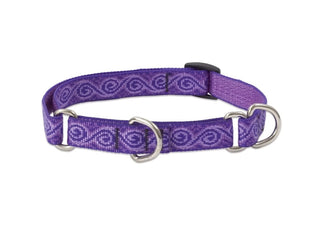 Lupine Pet Originals 3/4" Jelly Roll 10-14" Martingale Collar for Small Dogs