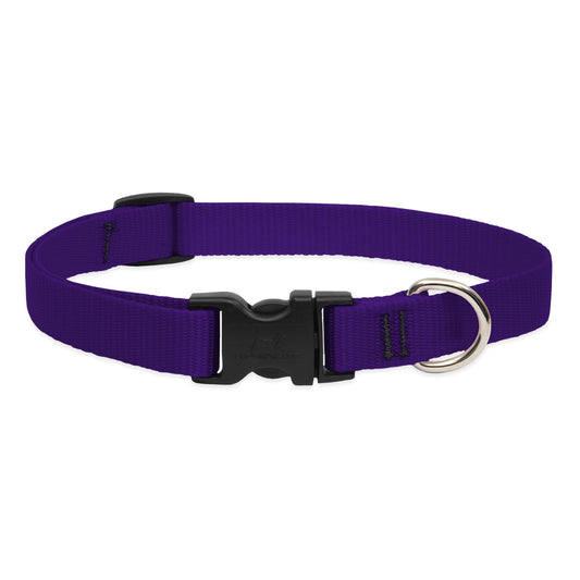 Lupine Pet Basics 3/4" Purple 9-14" Adjustable Collar for Small Dogs