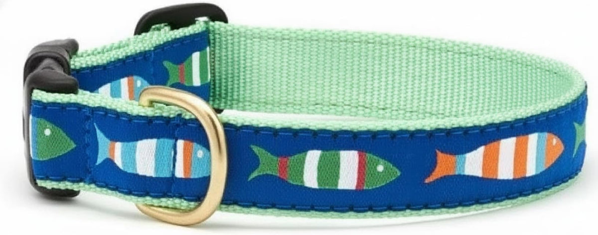 Up Country Animal Collar, Medium 12-18” Wide 1”, blue