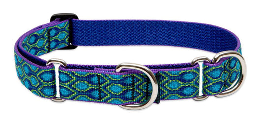 Lupine Pet Originals 1" Rain Song 15-22" Martingale Collar for Medium and Larger Dogs
