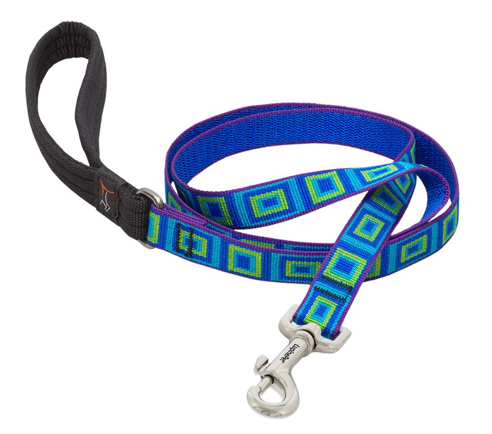 Leash by LupinePet