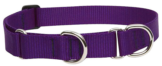 Lupine Pet Basics 1" Purple 15-22" Martingale Collar for Medium and Larger Dogs