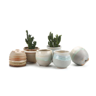 T4U Planter, Small, Multicolor