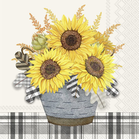 Boston International IHR Floral Fall Autumn Thanksgiving 3-Ply Paper Napkins, 20-Count Cocktail Size, Gingham Sunflowers