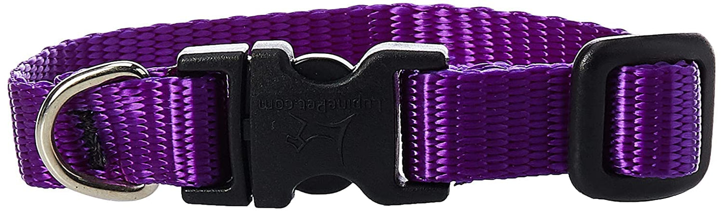 Lupine Pet Basics 1/2" Purple 6-9" Adjustable Collar for Extra Small Dogs