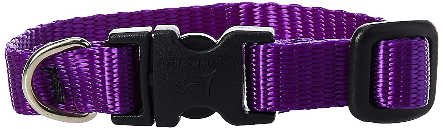 Lupine Pet Basics 1/2" Purple 6-9" Adjustable Collar for Extra Small Dogs