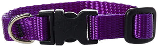 Lupine Pet Basics 1/2" Purple 6-9" Adjustable Collar for Extra Small Dogs