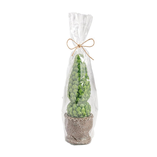 Mud Pie Candle, 6 1/4" x 2", Tall Topiary