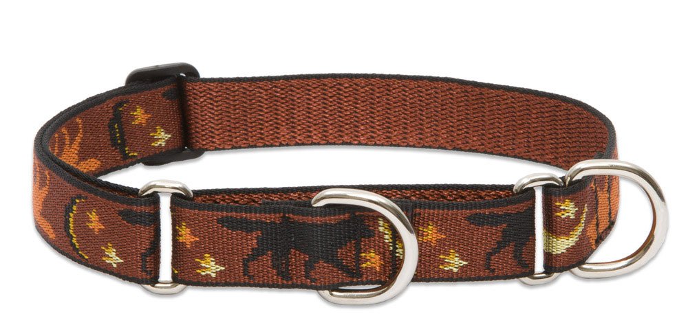 Lupine Pet Originals 1" Shadow Hunter 15-22" Martingale Collar for Medium and Larger Dogs