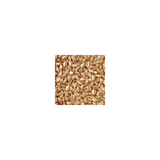 John Bead Craft Bead