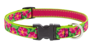 LupinePet Animal Collar
