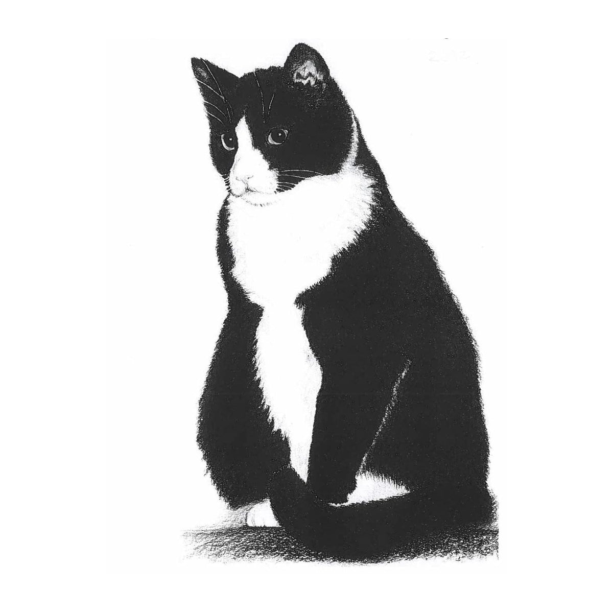 More Joy Towel, Black and White Cat