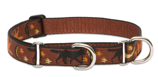 Lupine Pet Originals 1" Shadow Hunter 19-27" Martingale Collar for Large Dogs