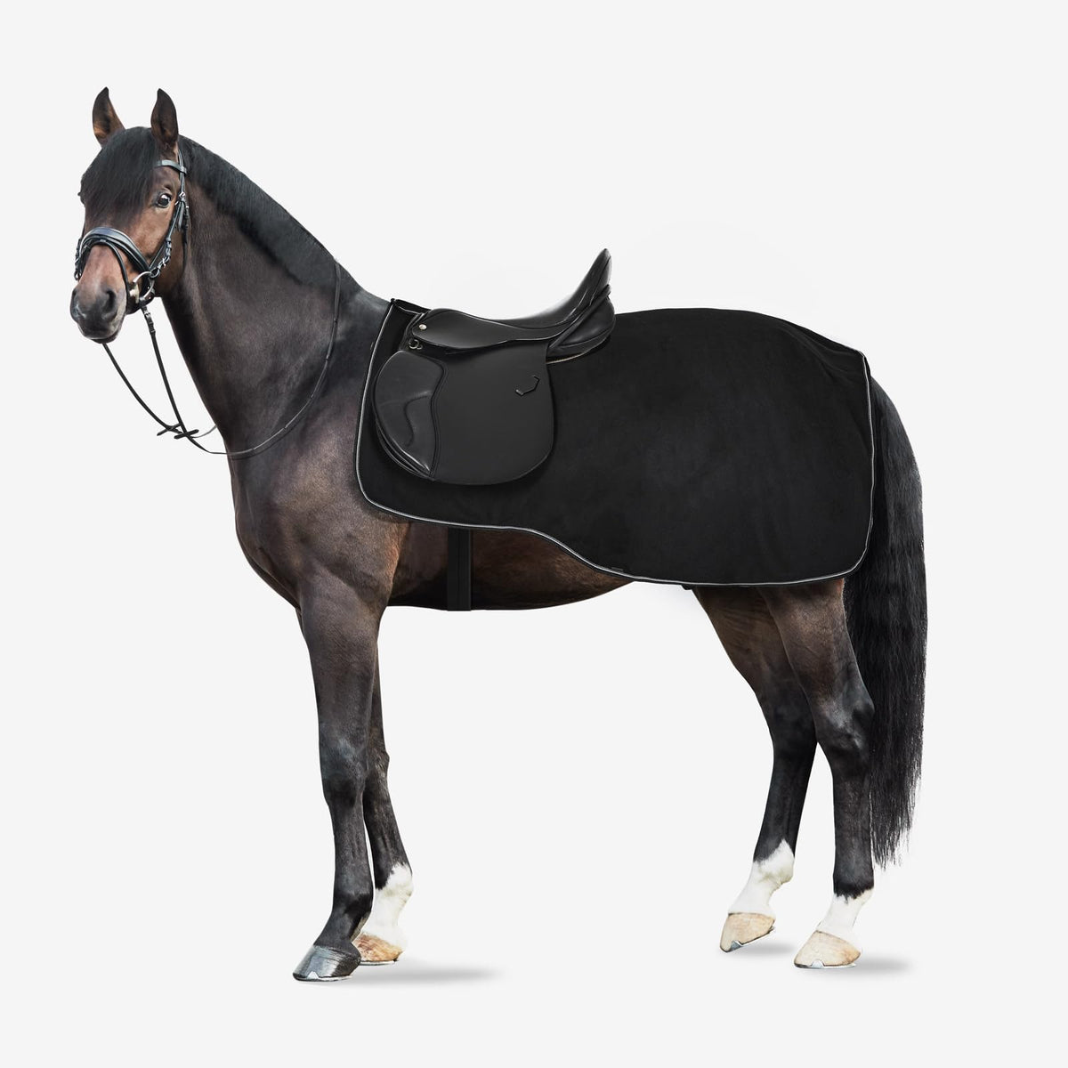 HORZE Pet Apparel, 75 in, Black