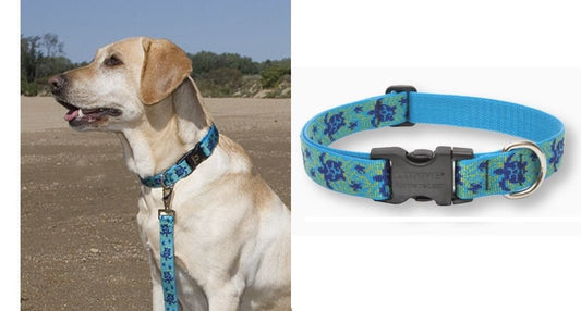 Lupine Pet Originals 1" Turtle Reef 12-20" Adjustable Collar for Medium and Larger Dogs