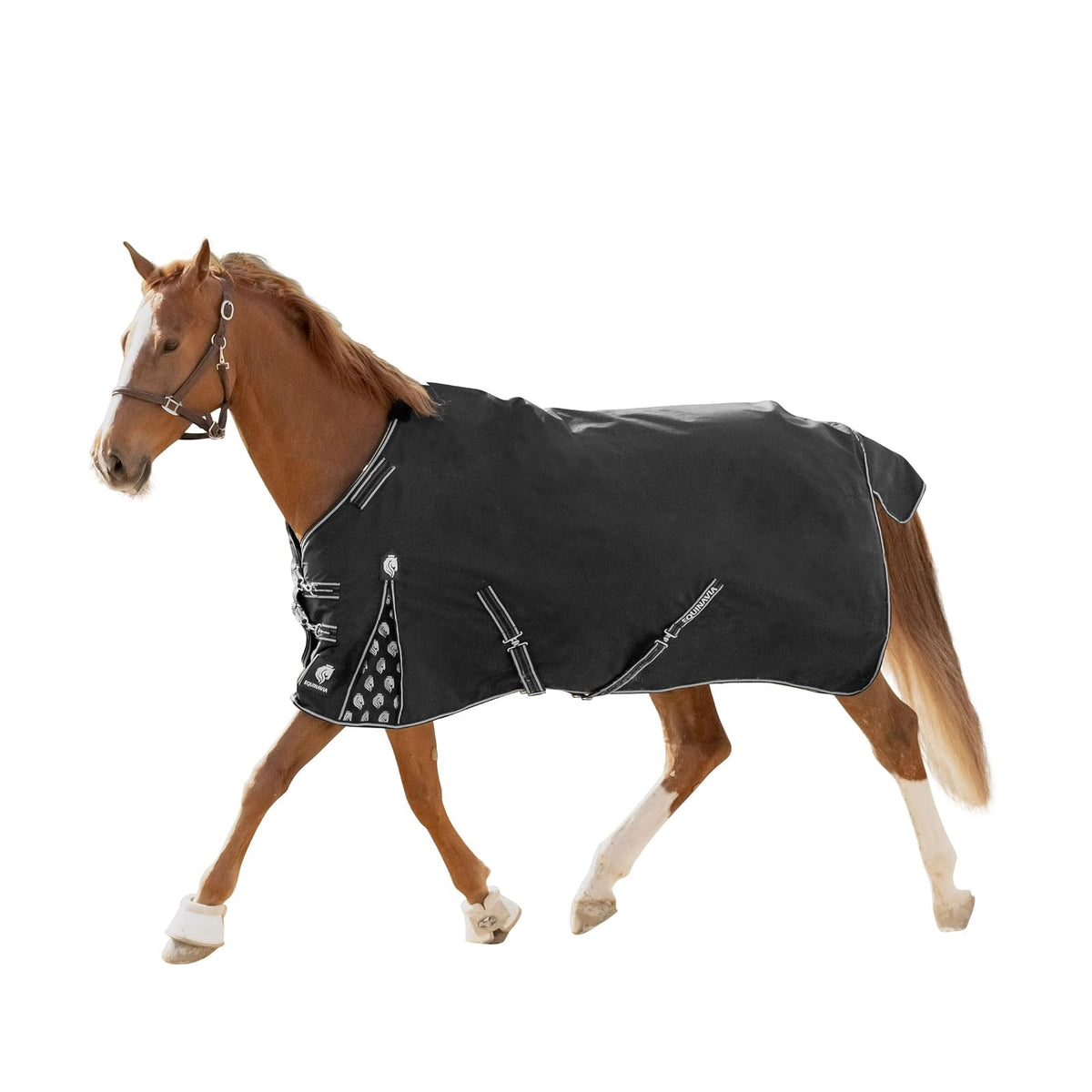 Equinavia Pet Apparel, 66 in, Black