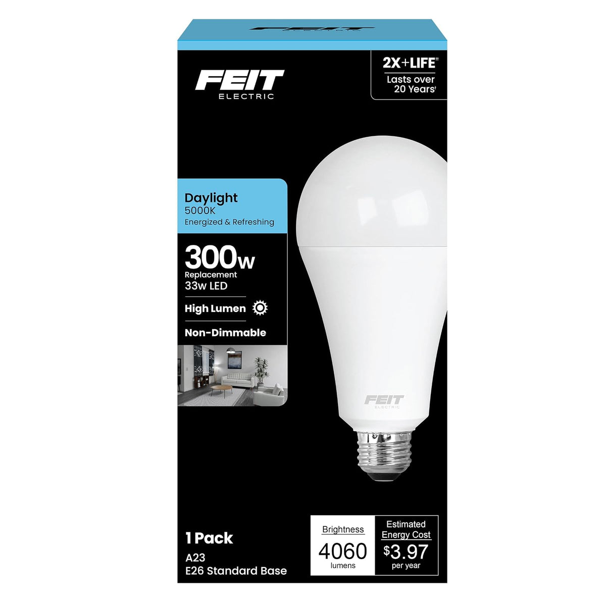 Feit Electric Light Bulb, 300W, 5000k Daylight