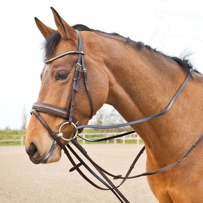 Horze Sparta Leather Draw Reins - Dark Brown - Horse