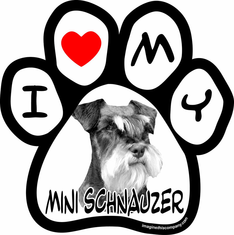 Imagine This 5-1/2-Inch by 5-1/2-Inch Car Magnet Picture Paw, Mini Schnauzer