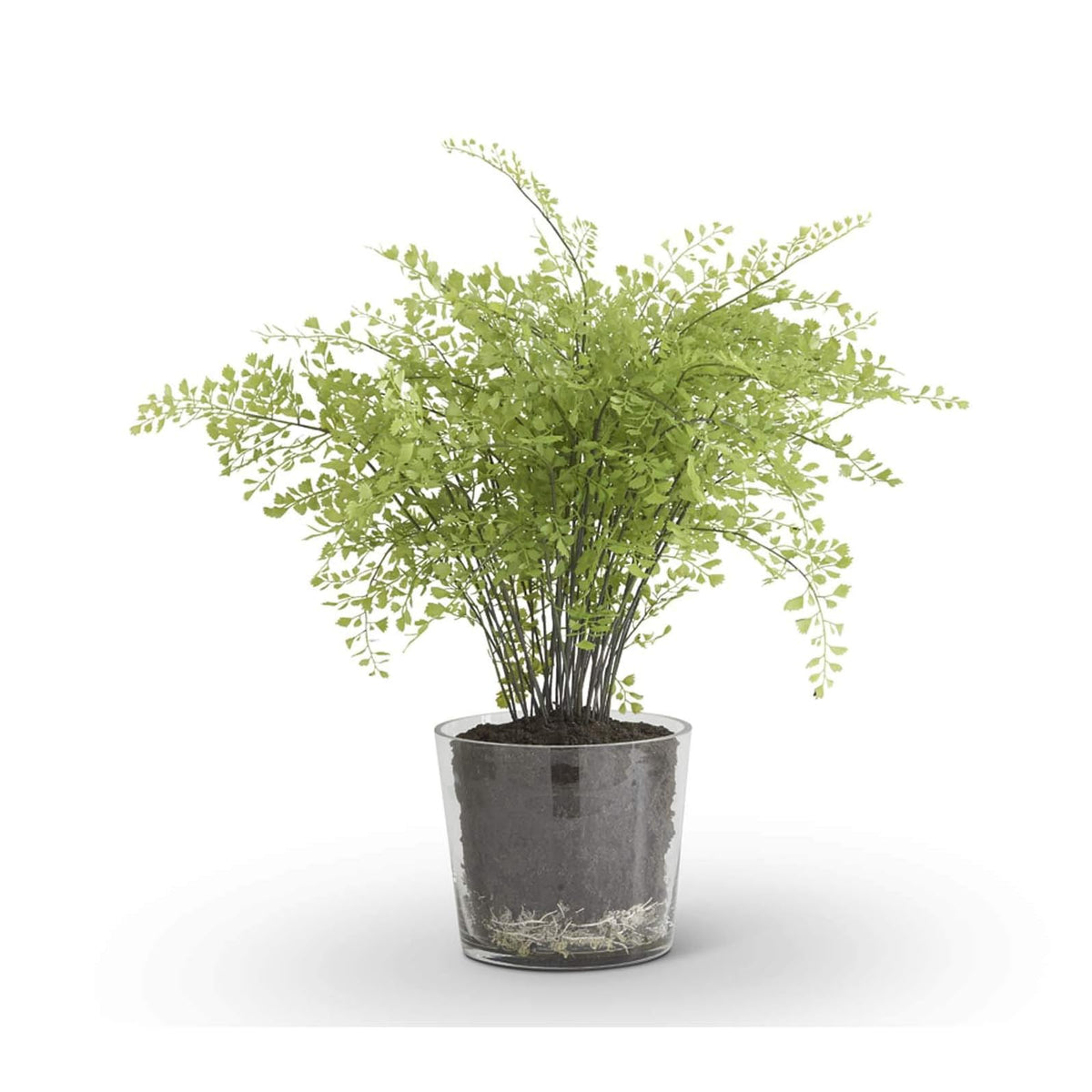 K&K Interiors Artificial Plant, 22 Inch, Green