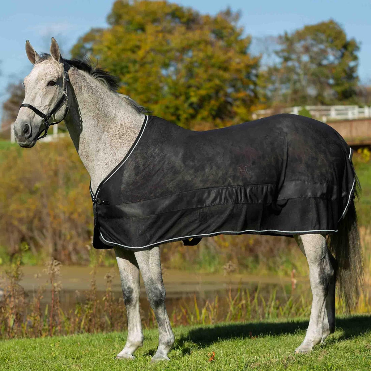 Equinavia Pet Apparel, M, Black