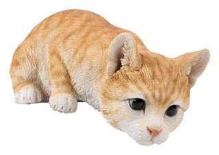 Hi Line Gift 87757-M Cat Looking Over Ledge-Orange Tabby