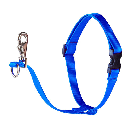 Lupine Pet Basics 1" Blue 26-38" No Pull Harness for Medium-Larger Dogs