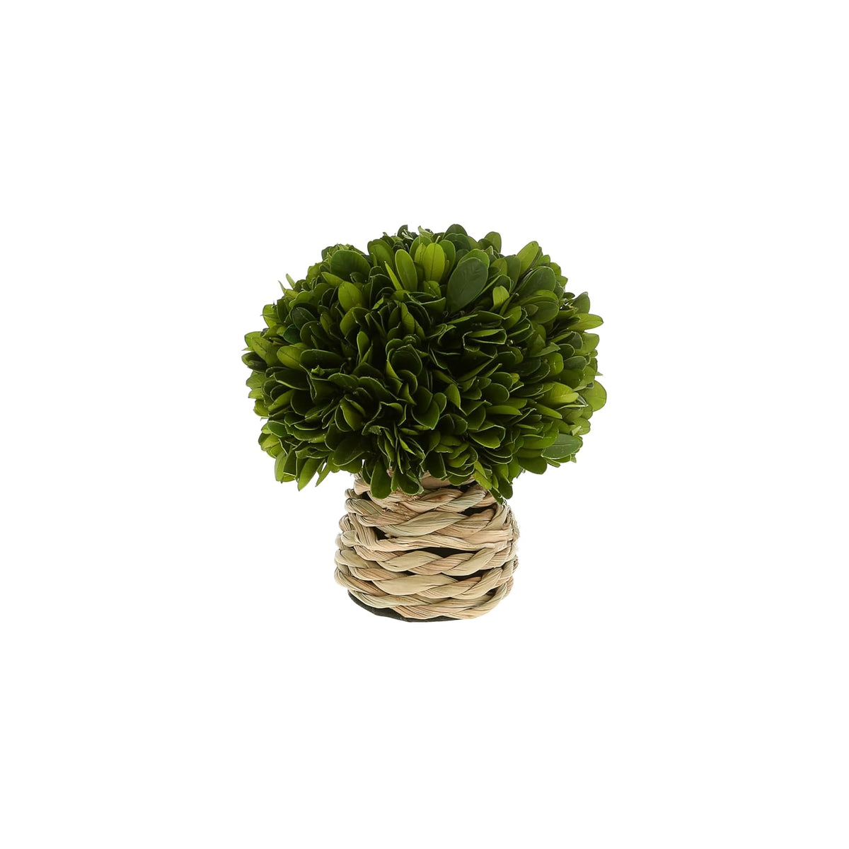 Pavilion Gift Company Artificial Plant, 6", Green, Beige