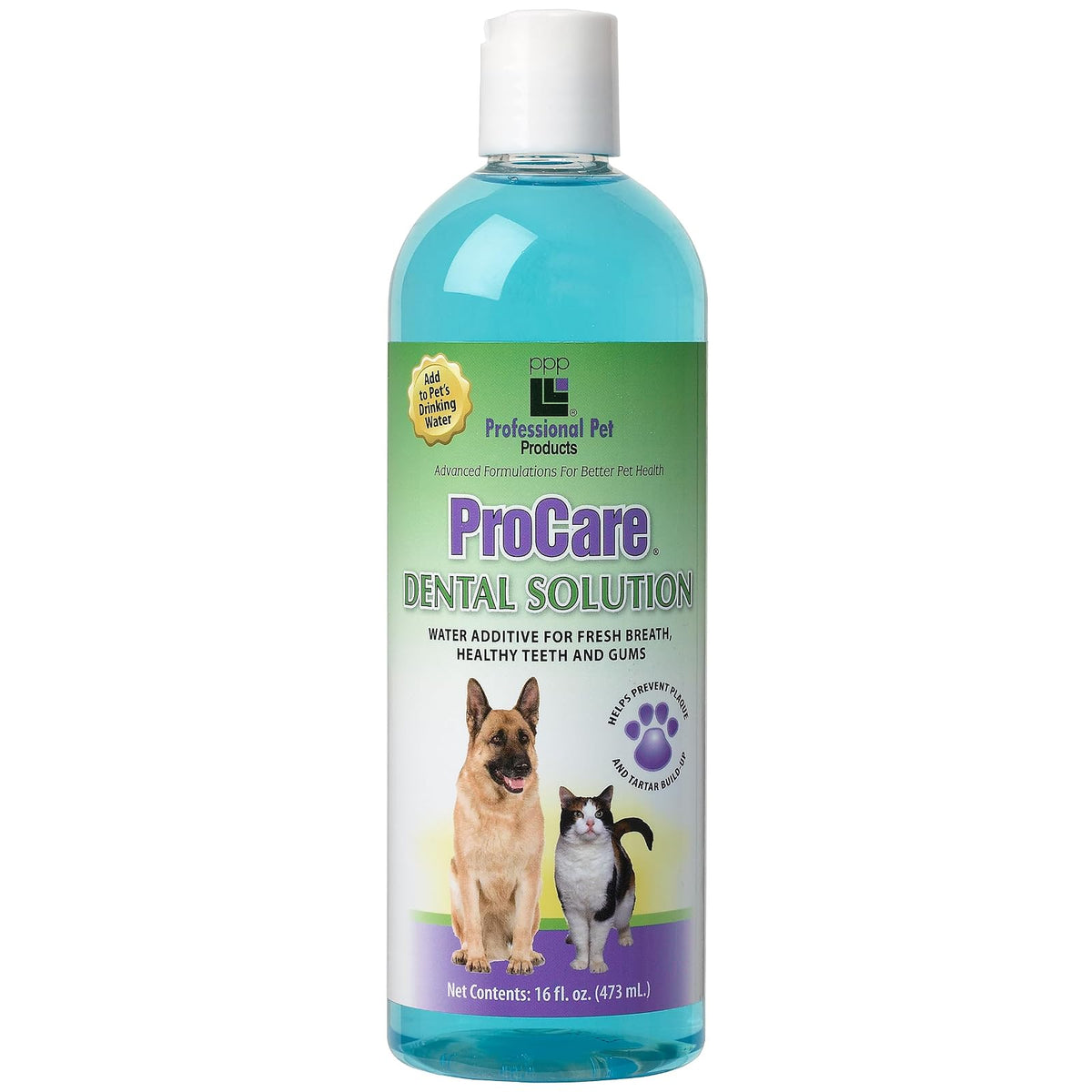 PPP Tooth Cleaning Agent, 16 Fl Oz (Pack of 1)