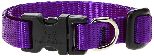 Lupine Pet Basics 1/2" Purple 8-12" Adjustable Collar for Small Dogs