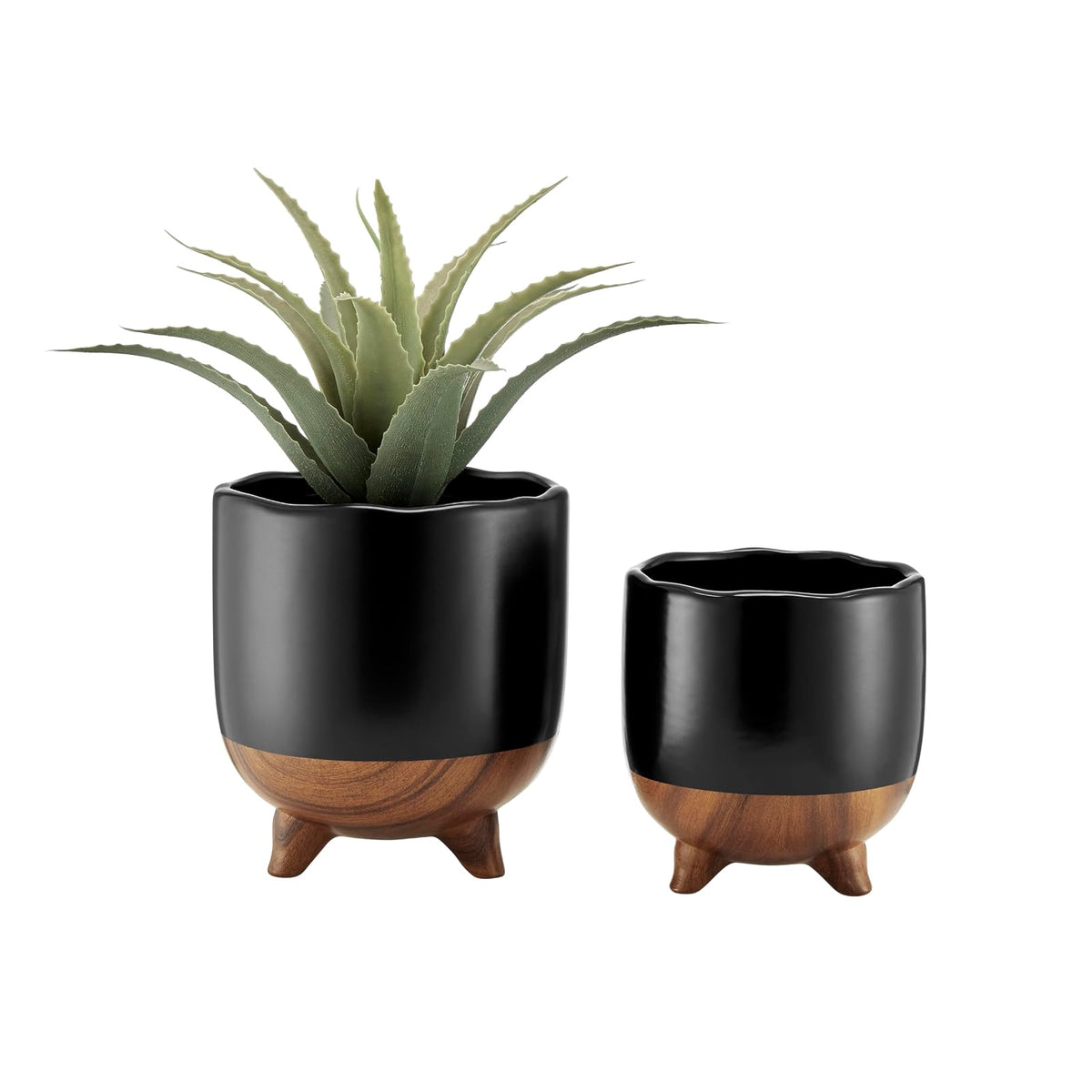 Danya B Tools, Black and Walnut, Black and Walnut