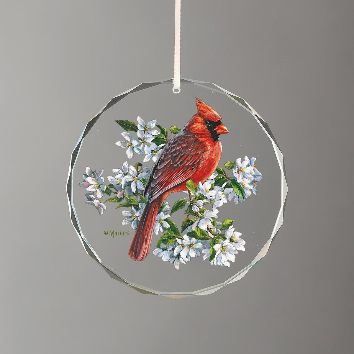 Wild Wings Hanging Ornament, Multi Color