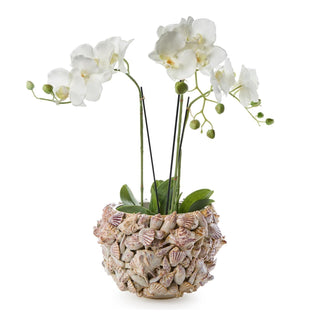 Two's Company Planter, 8.75-Inch, Natural