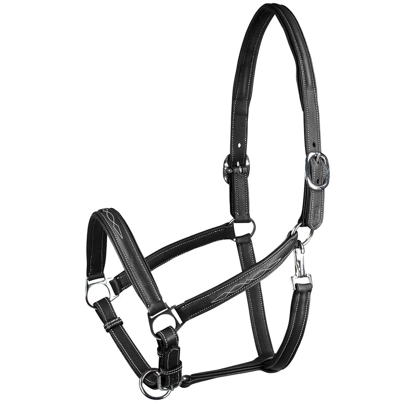 HORZE Warren Soft Adjustable Genuine Leather Horse Halter | Stainless Steel Hardware - Black - Cob