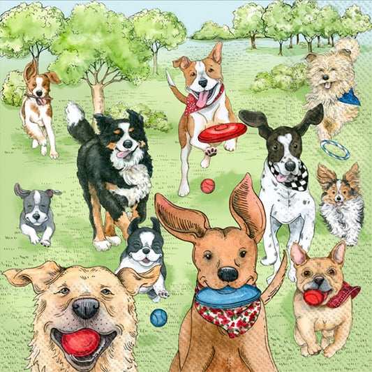 Boston International IHR 3-Ply Paper Napkins Everyday Designs, 20-Count Cocktail Size, Dog Park Runners