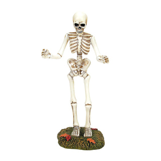 Department 56 Figurine, 6.75 Inch, Multicolor